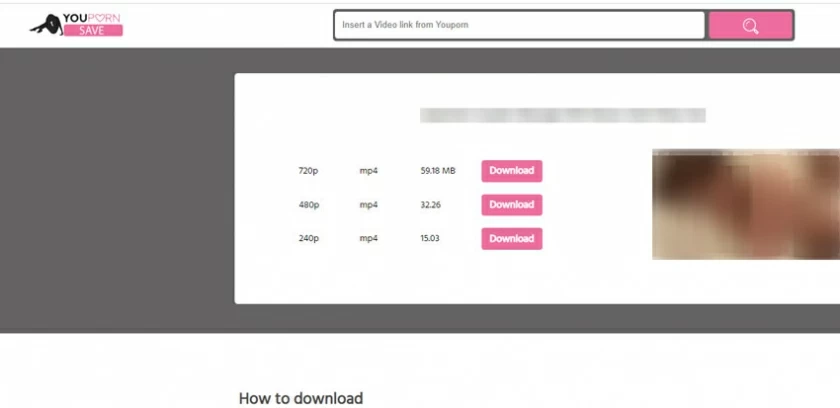 3 Best Youporn HD Video Downloader/Converter10