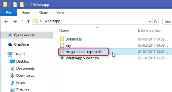 Effective Ways to Decrypt WhatsApp DataBase3