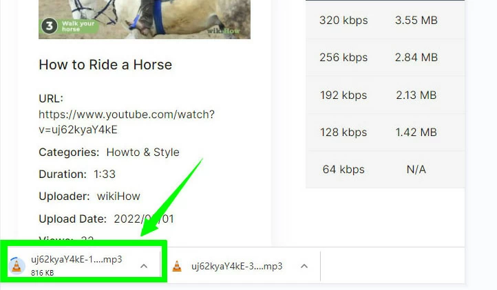How to Record Audio from YouTube for Free10