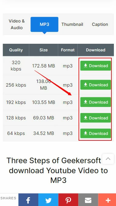 Convert YouTube Video to MP3 for iPhone 3