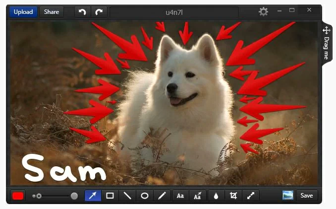 10 Proven Screen Recorders for Mac7