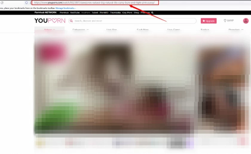 3 Best Youporn HD Video Downloader/Converter2