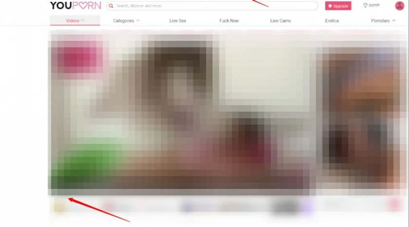 3 Best Youporn HD Video Downloader/Converter8