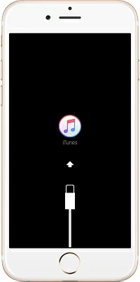 Fix iPhone White Screen with Black Apple Logo