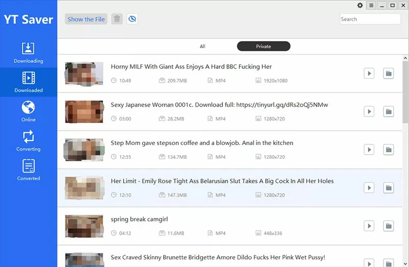 4 Best Xvideos Video Downloader/Converter4