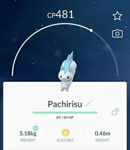 A Comprehensive Guide For Pachirisu Pokémon Go Map