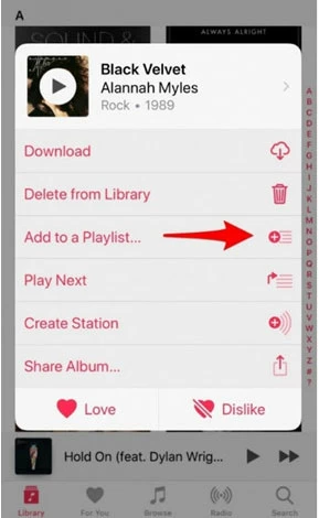 download music on iphone/iPad 4