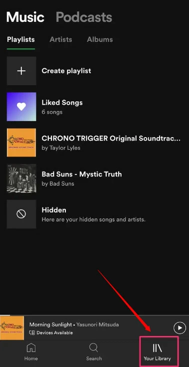 download music on iphone/iPad 5