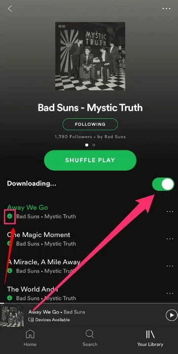 download music on iphone/iPad 7