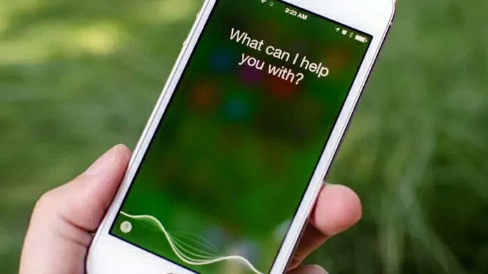 Effective Ways on How to Fix Siri Not Working on iPhone1