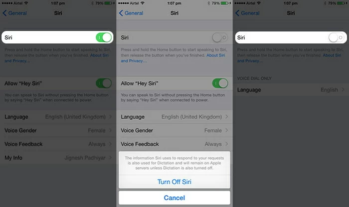 Effective Ways on How to Fix Siri Not Working on iPhone3