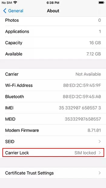 Effective Ways on How to Unlock A Carrier Locked iPhone