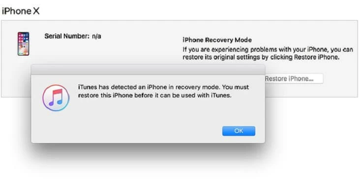 iPhone keeps restarting loop10