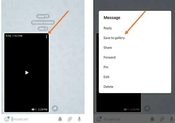 How to Download Telegram Videos from Mobile or PC at Ease 3