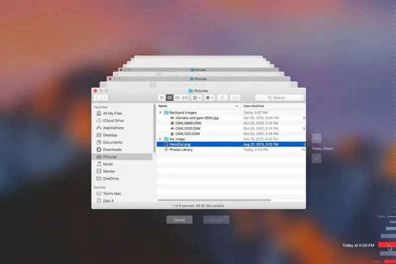 How To Find and Recover Recently Deleted Photos on Computer8