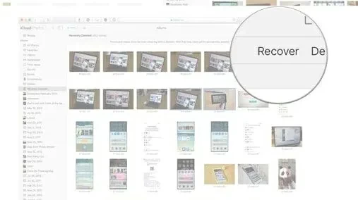  How to Find and Recover Recently Deleted Photos on Your Phone8
