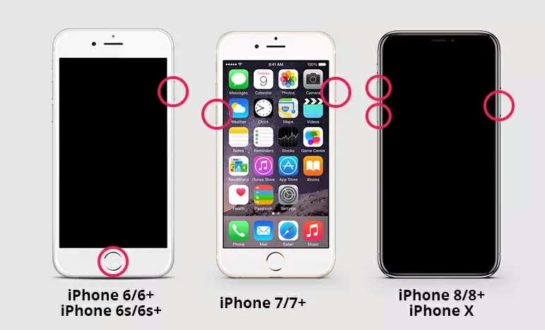 How To Fix iPhone Stuck On Apple Logo in 5 Reliable Ways2