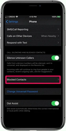 How to Fix The Issue iPhone Keeps Saying Call Failed3