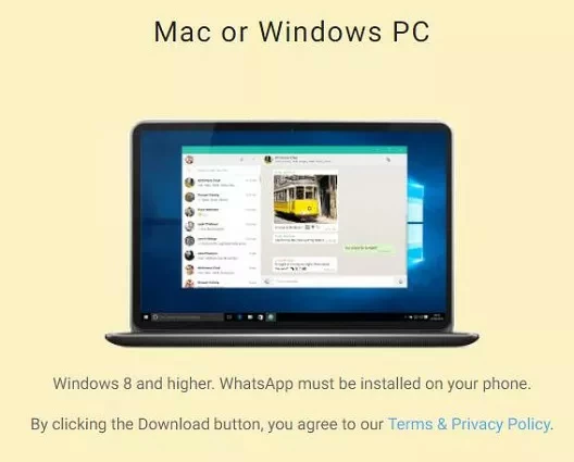 How to Free Download The Latest WhatsApp Web/WhatsApp Desktop APP? 