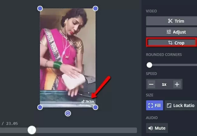 How to remove TikTok Video Watermarks in Effective Ways8