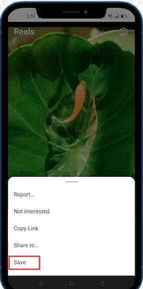 Instagram Reels Downloaders for Android and iPhone2