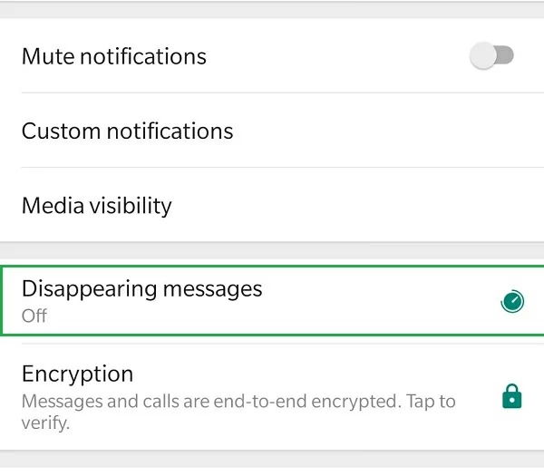 Introduction to WhatsApp Disappearing Messages2