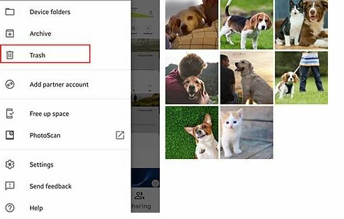 photos disappeared from samsung phone5