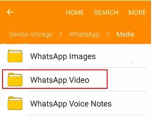 To Recover Deleted Videos from WhatsApp on Android without Backup in 4 Ways6