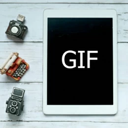 Vidéo en GIF