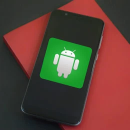 Stuck on the startup screen